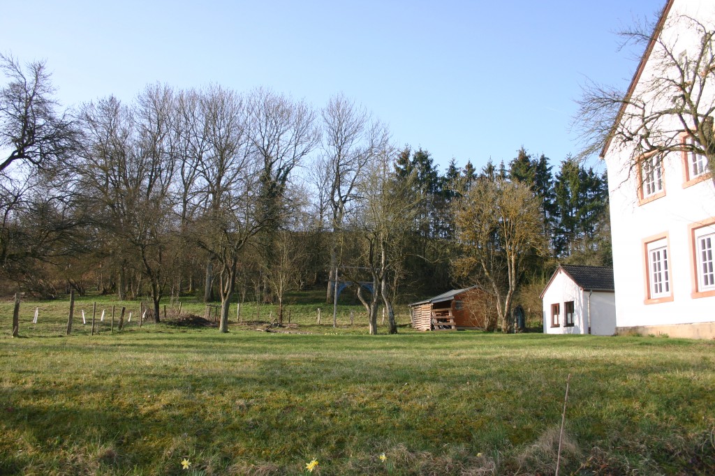 vakantiehuis Eifel du528 vakantiehuis Eifel du528